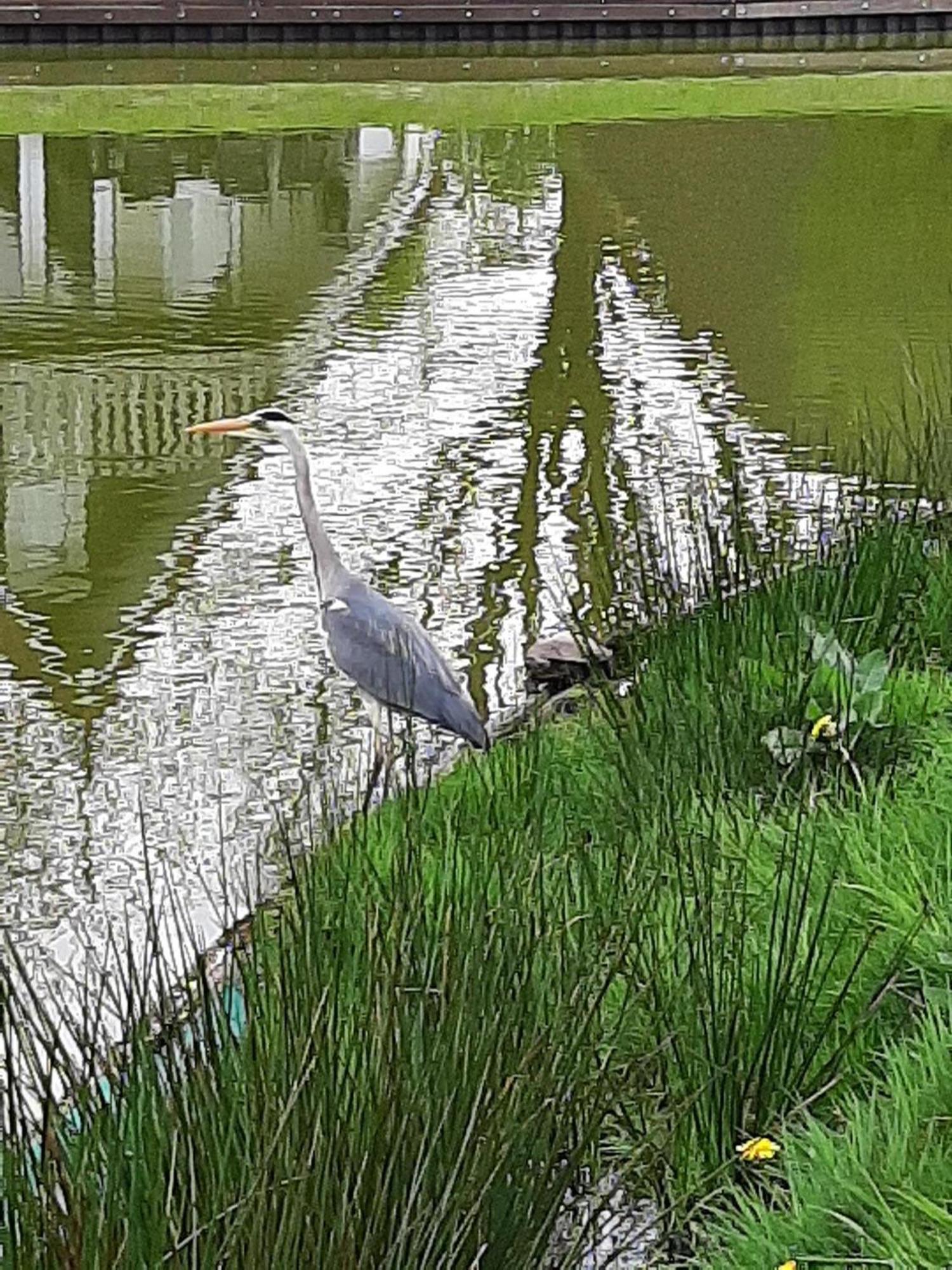 Stijlvol Aan De Visvijver *